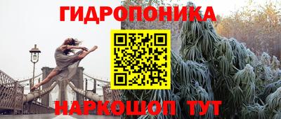 ГАЛЛЮЦИНОГЕННЫЕ ГРИБЫ Партизанск
